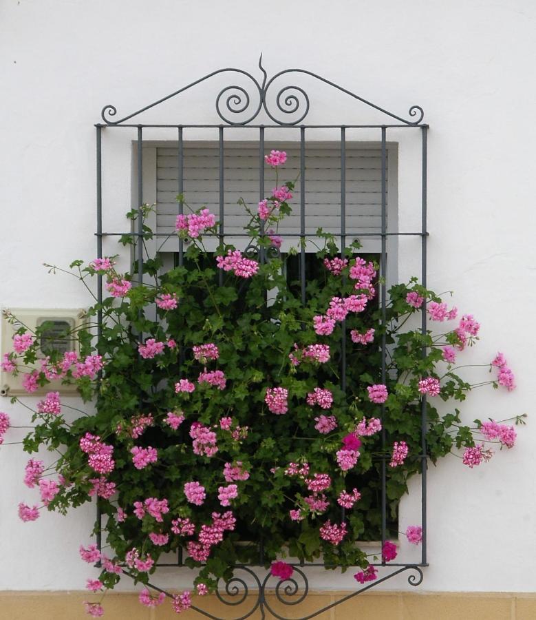 La Casa De Angela Villa Almodovar del Rio Exterior photo